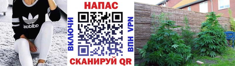 Как найти закладки Альметьевск КОКАИН  Alpha PVP  Гашиш  МЕФ 