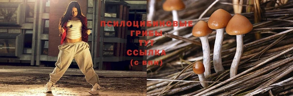 индика Нязепетровск