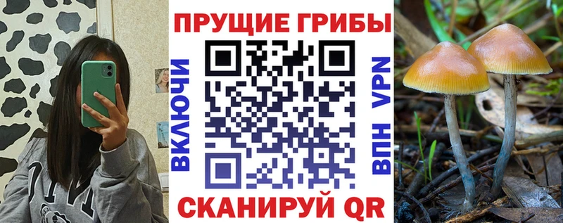 Галлюциногенные грибы Psilocybine cubensis  нарко площадка Telegram  Альметьевск  KRAKEN ТОР 