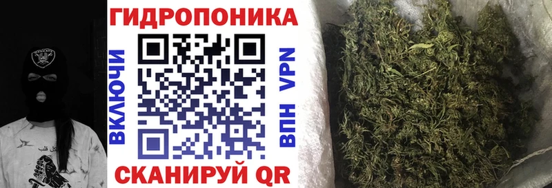 Бошки марихуана ГИДРОПОН  darknet какой сайт  Альметьевск 